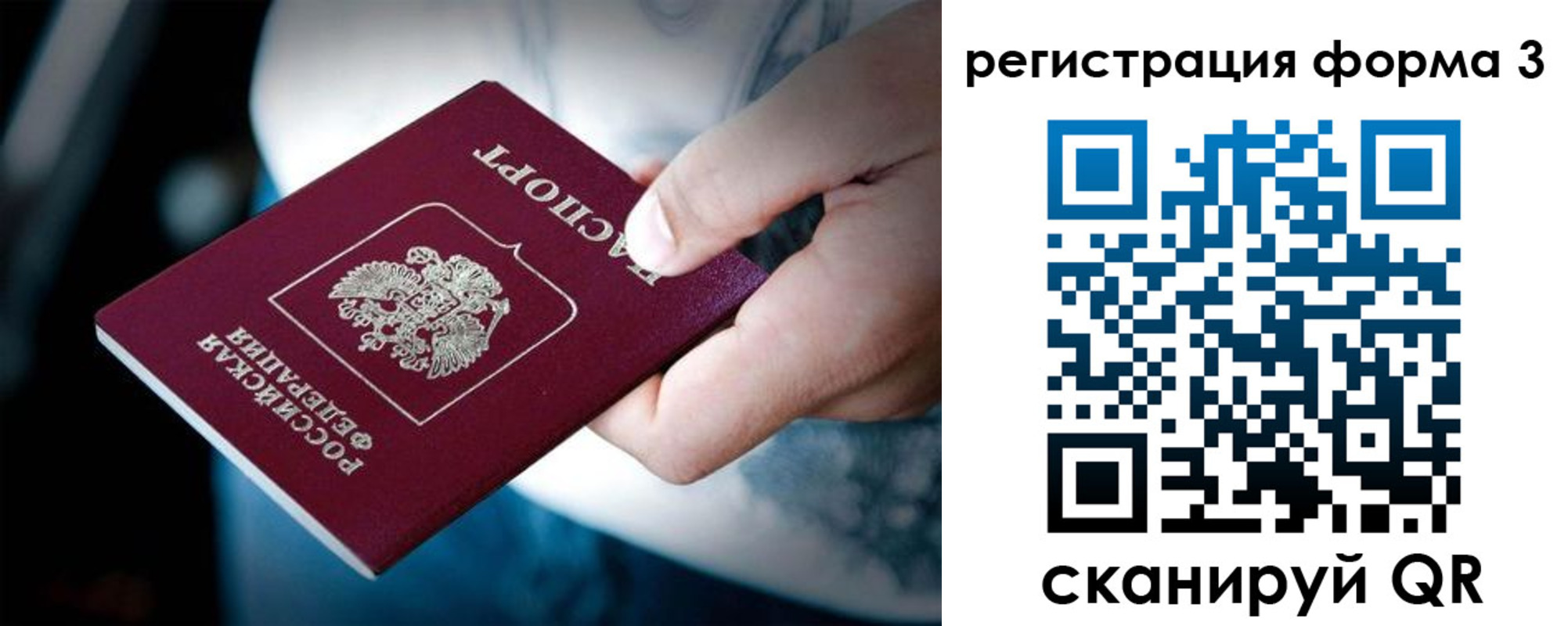 прописка для школы в Мурманской области